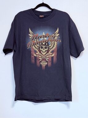 Harley-Davidson Men's Navy Graphic Skull Tee Large